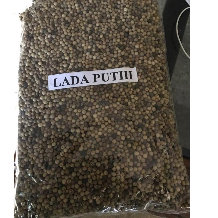 

ㄴ Lada Putih Butir 1 Kg / Merica Putih Super / Lada Putih Alami ㅬ