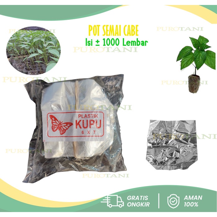 Pot semai Cabe 6x7 cm polybag cabe 6cmx7cm 1000an pcs