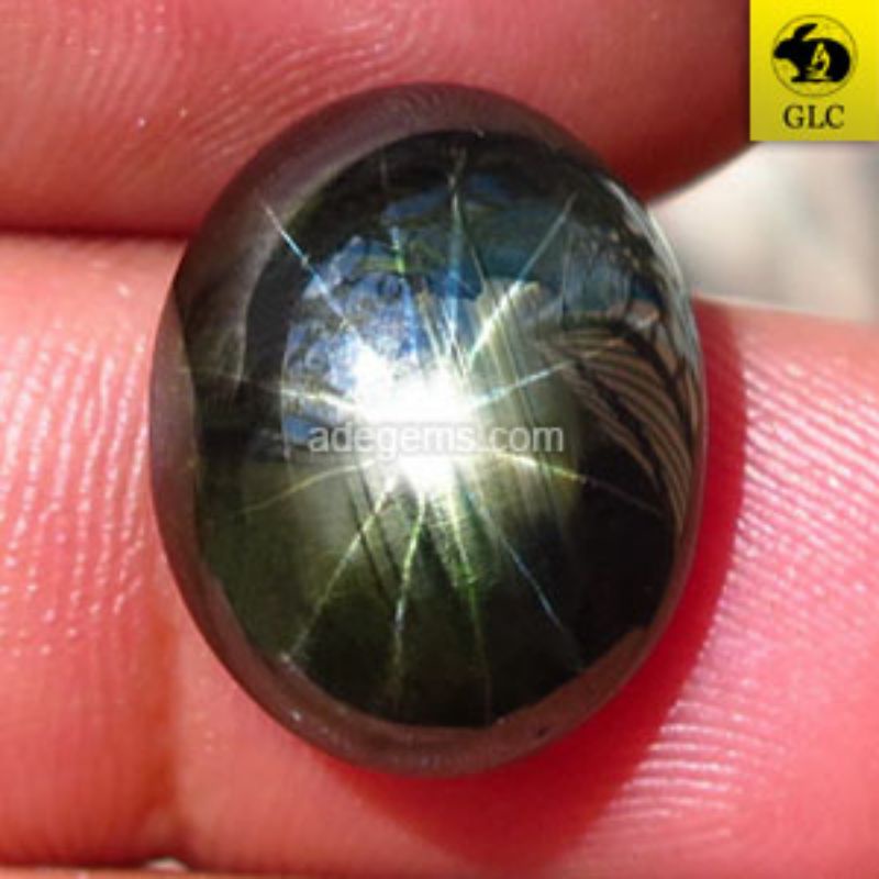 SS-254 Batu Permata Black Star Sapphire 12 Rays Safir Hitam Bintang 12 Sinar Thailand Natural 13.19 