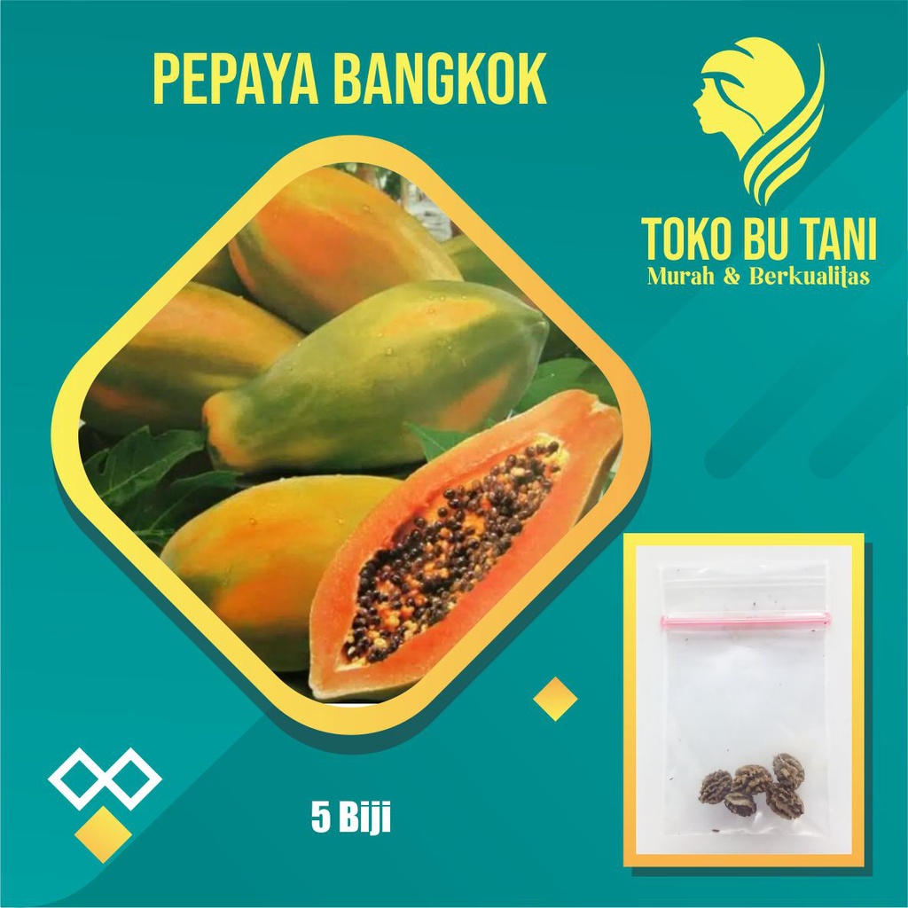 Benih Buah Pepaya Bangkok Bibit Buah Pepaya Bangkok Benih Buah-buahan Berkualitas