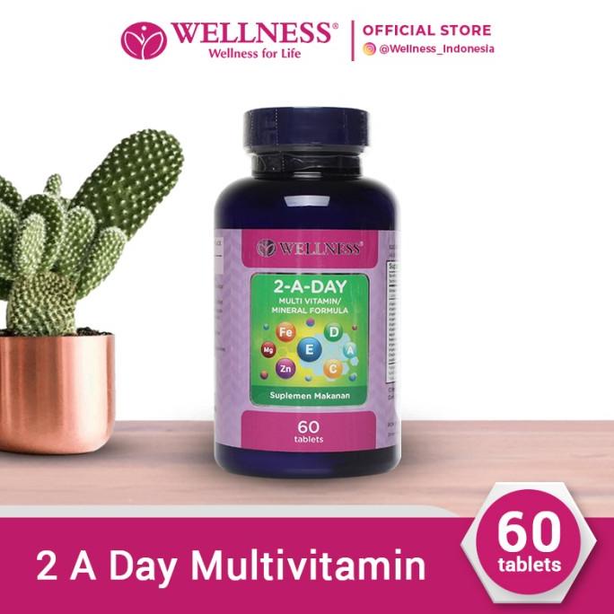 Wellness Multivitamin/Mineral 2-A-Day ( 60 )
