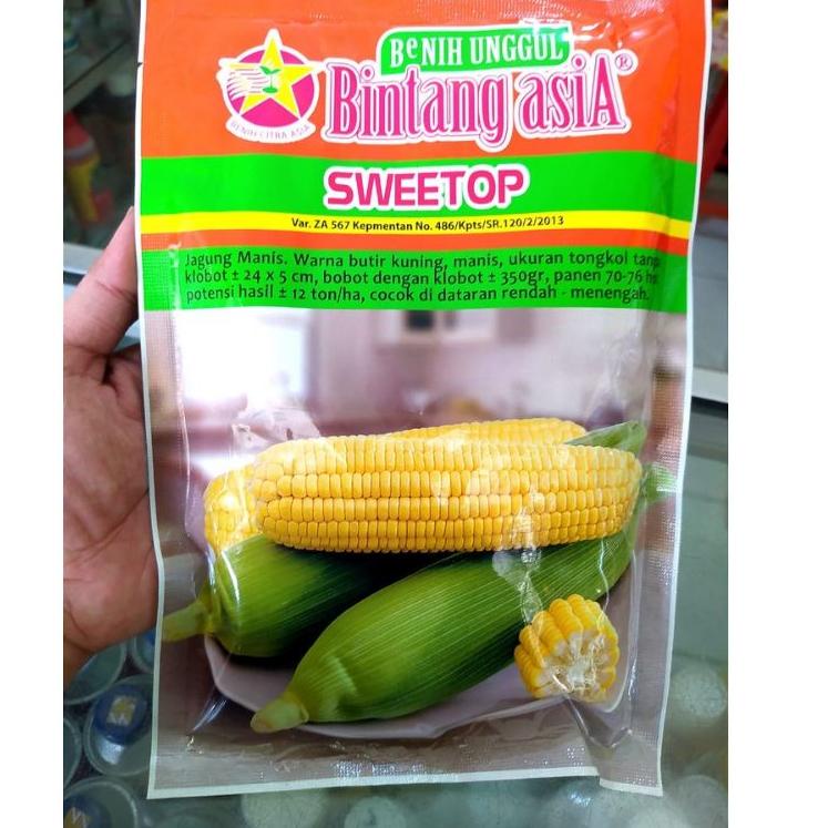 Sale plusSweetop (MANISE) 250gr Benih Jagung Manis isi -+ 1700 biji - Bintang Asia
