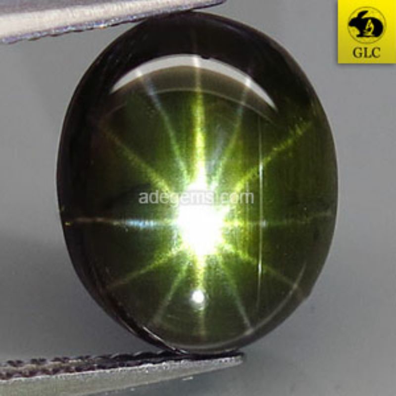 SS-256 Batu Permata Dark Green Star Sapphire 12 Rays Safir Hijau Gelap Bintang 12 Sinar Thailand Nat