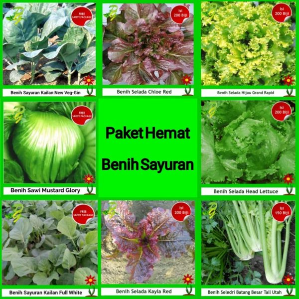 Paket Hemat Benih Sayuran