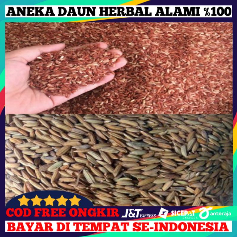 

Bangsal Atau Gabah Beras Merah Herbal/500gram