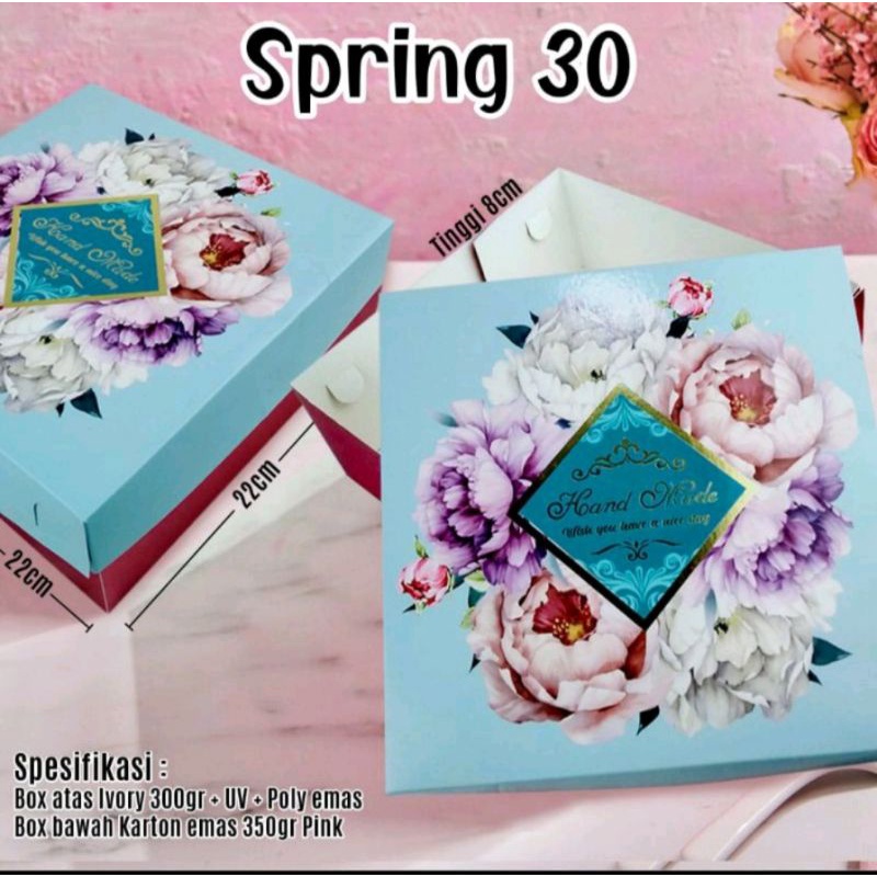 

Dus kue bolu box spring 30 (5pc)