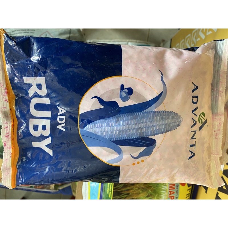 Benih Jagung Adv RUBY