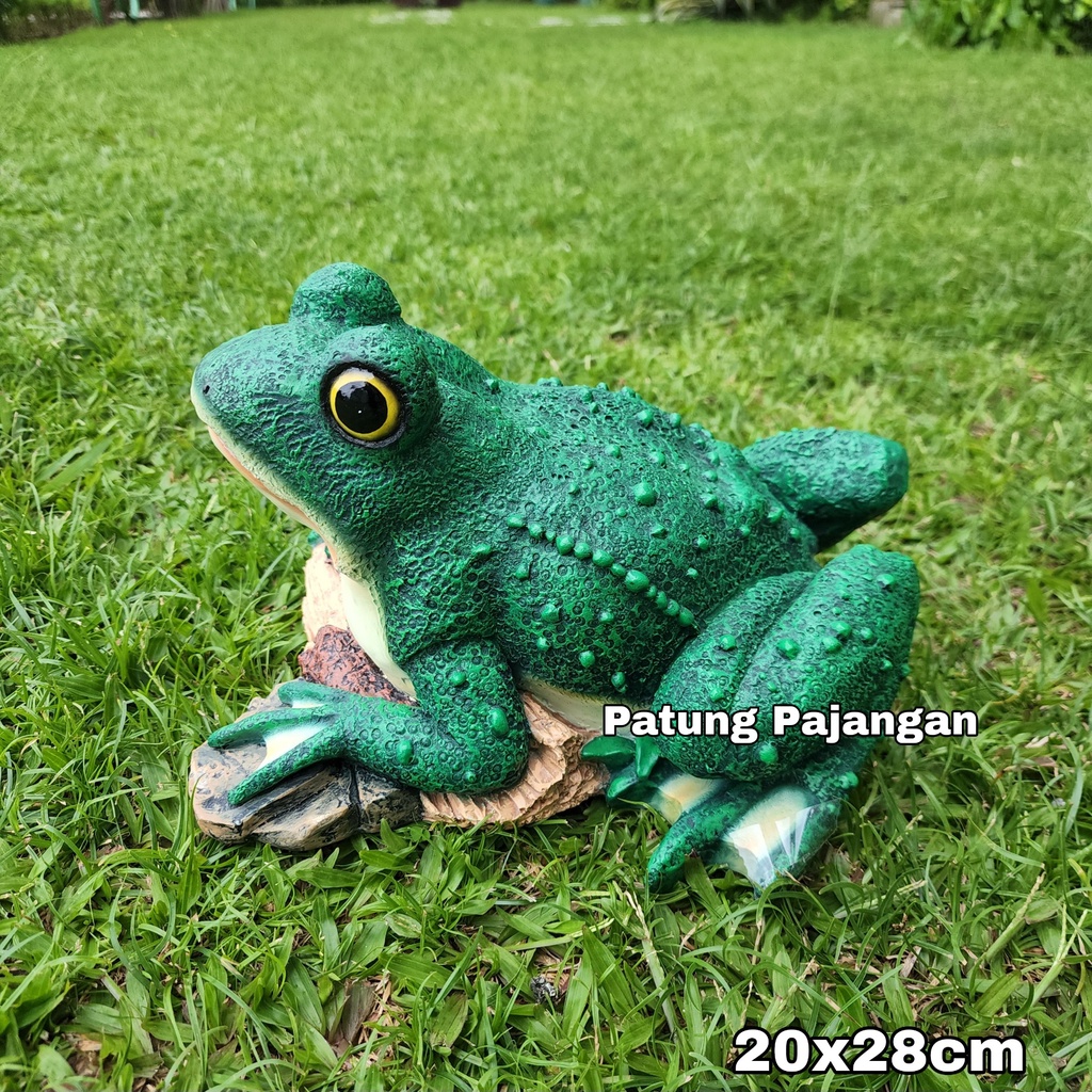 Jual Pajangan Kodok Besar Patung Frog Katak Dekorasi Hiasan Kolam Taman