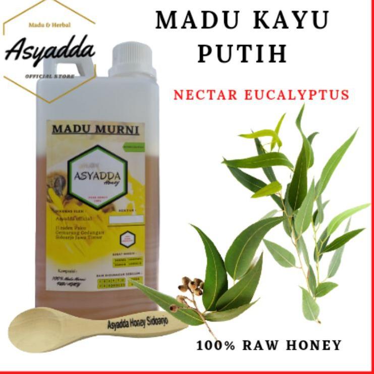 

⇮ Raw Honey 1 kg Madu Kayu putih Murni Asli Bunga | Obat Asam Lambung ャ