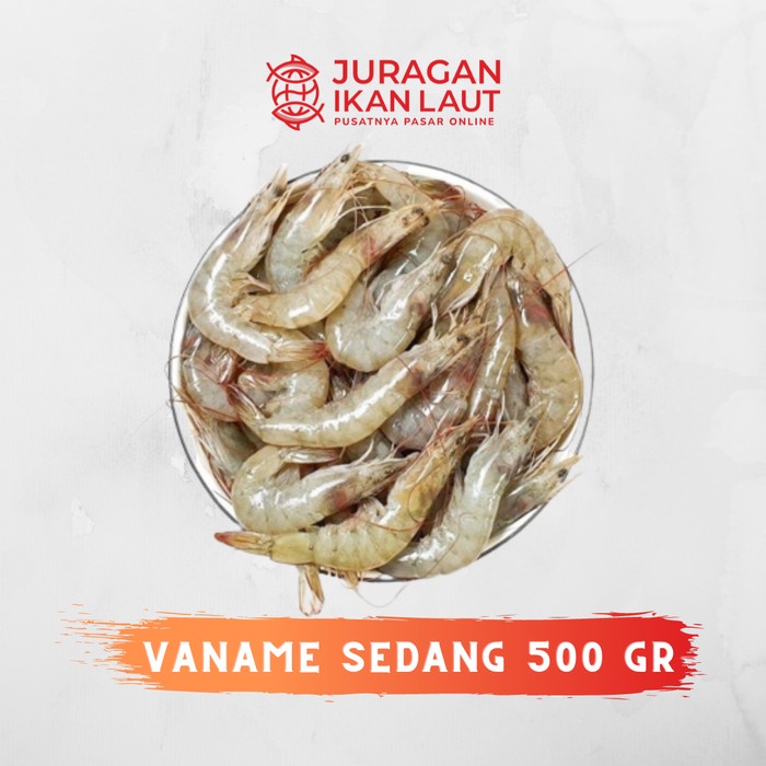 

Udang Vaname Sedang Segar Berkualitas - 500 Gram