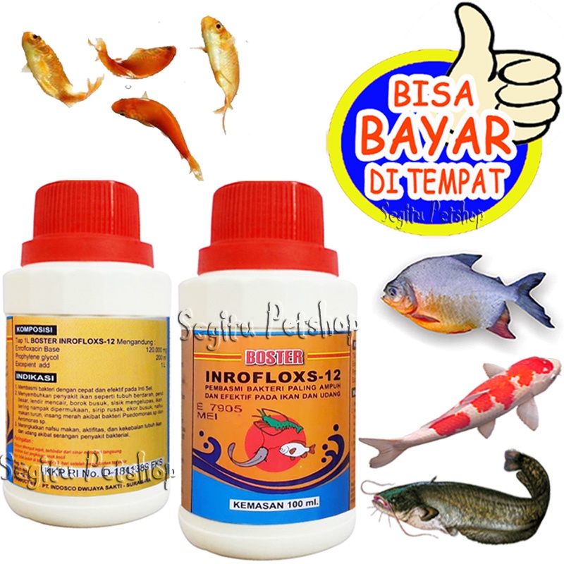 OBAT JAMUR IKAN HIAS GURAMI MAS PATIN NILA LELE PATIN KOI INROFLOXS 12
