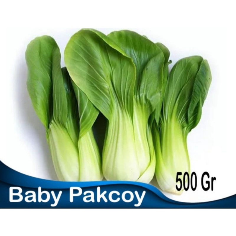 

Pakcoy/Sawi Sendok 500 gram