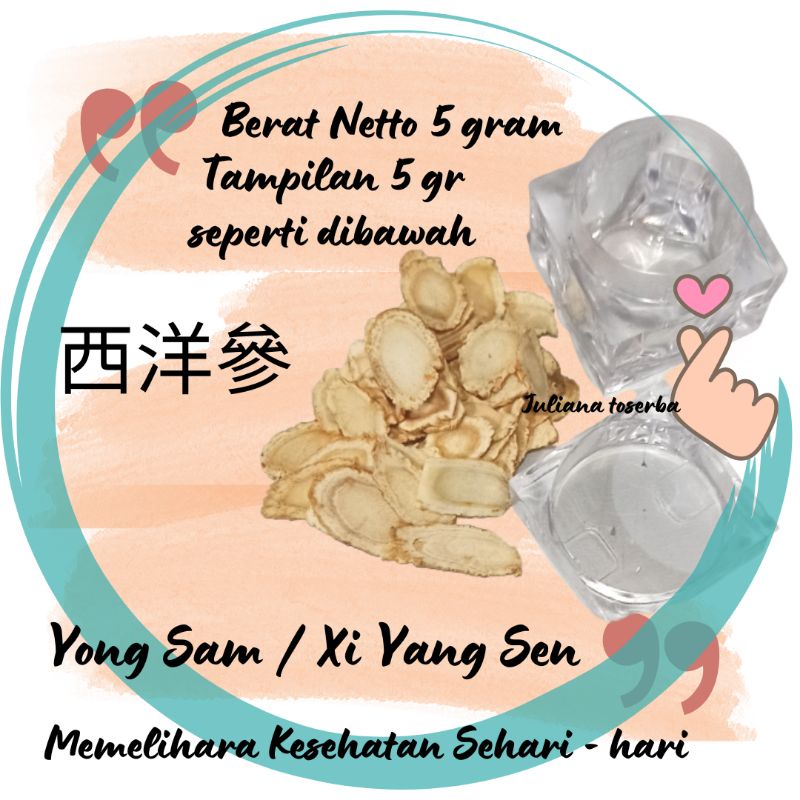 

Yong Sem Si Yang Shen American Ginseng 5 gram Nyiu Sim