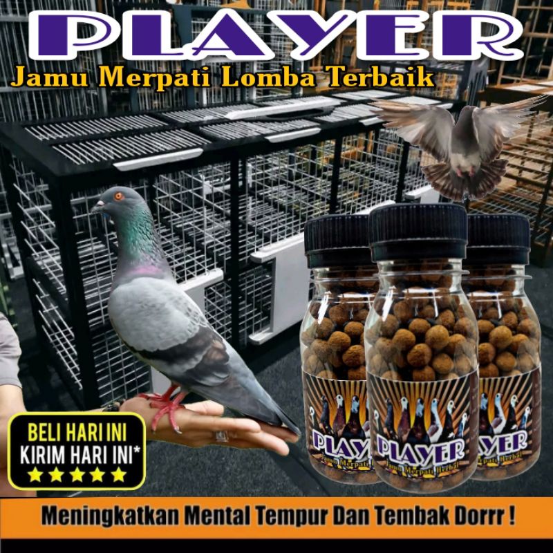 Jamu Merpati PLAYER isi 50 Butir Pil sarang walet Suplemen merpati anti robok pil power shoot pil gi