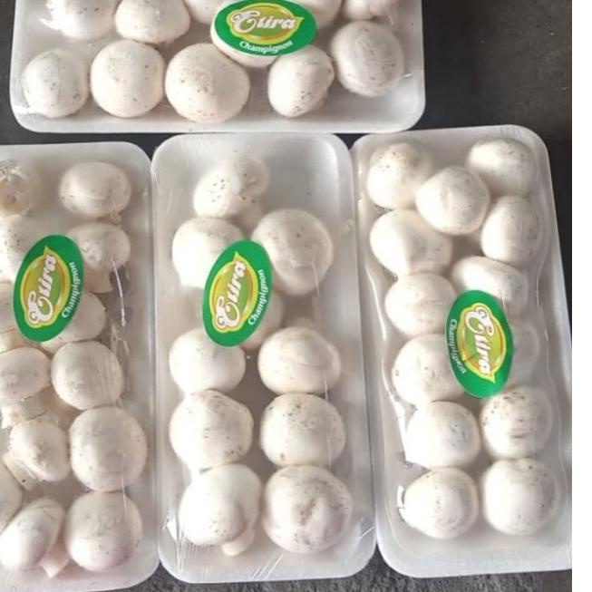 

BARANG TERUPDATE Jamur Champignon / Kancing / Button ☼ 871