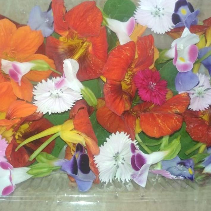 

BIG SALE Edible flower (bisa request bunga) ☃ 872