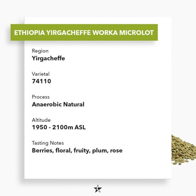 

Arabica Green Beans - Ethiopia Yirgacheffe Worka Microlot