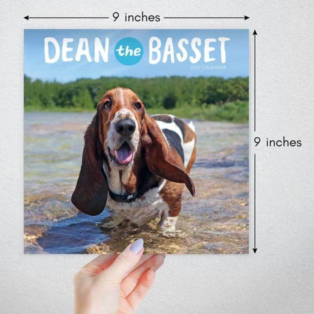 Top Dean The Basset Creatives Adorable Pet Dog Time Planning Kalender Rumah Kantor