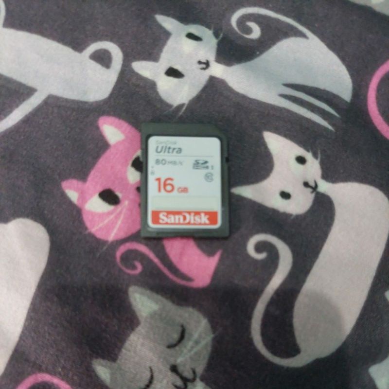 sandisk 16 gb
