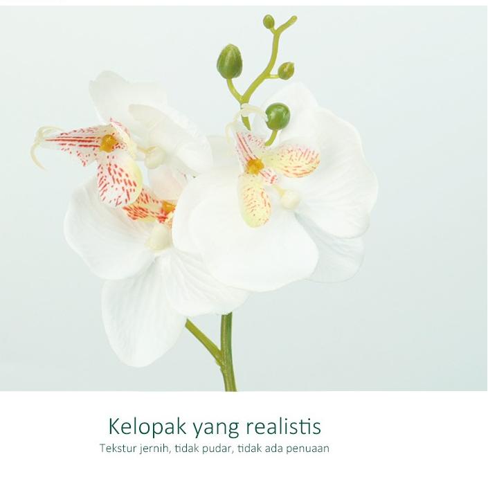 ⚡TOK SIAP 【COD 【COD 】AONEZ Outlets Bunga Imitasi Plastik Anggrek Phalaenopsis Dengan Pot Keramik 