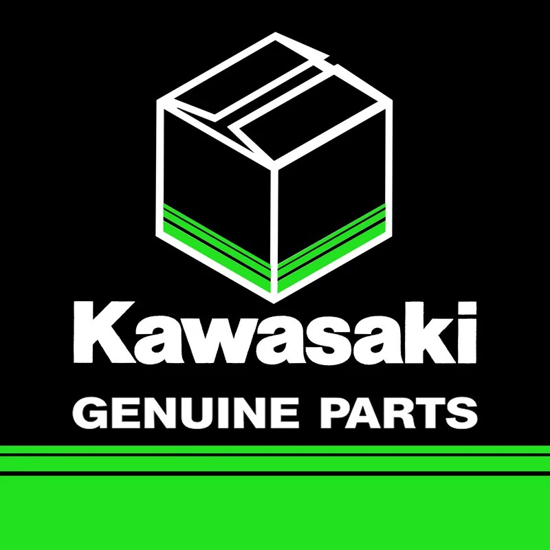 SEAL SIL MASTER REM DEPAN KAZE ATHLETE NINJA ASLI KAWASAKI 43020-1095