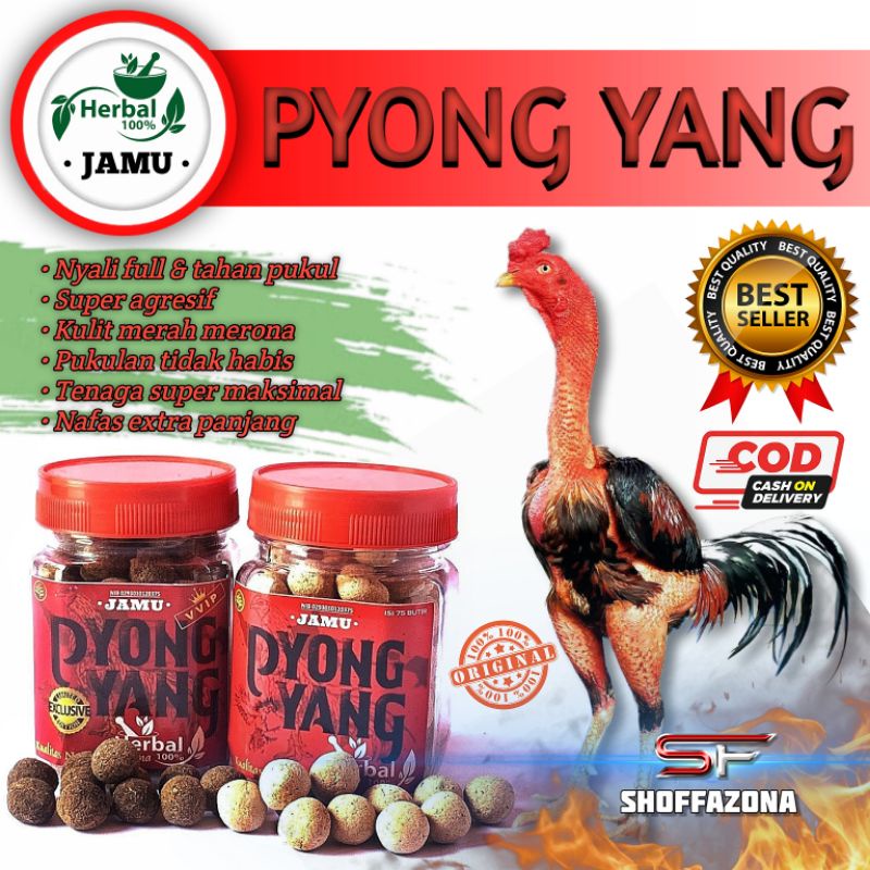 PYONGYANG DOPING AYAM ADUAN JAMU AYAM KUAT NAFAS DAN TENAGA