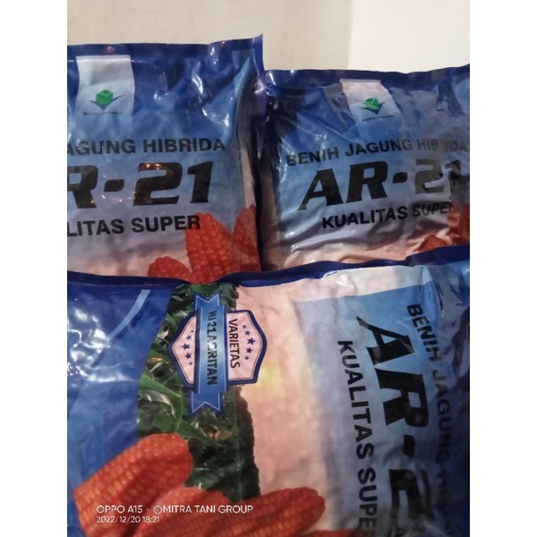 Benih Jagung Hibrida AR-21 Kemasan 5 kg