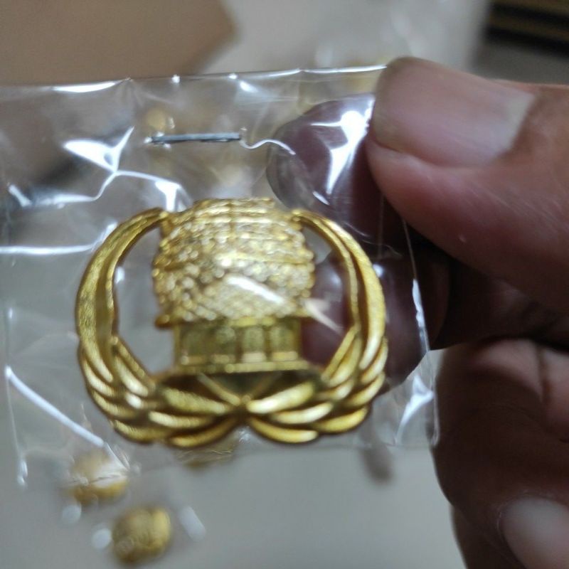 Pin Korpri ASN