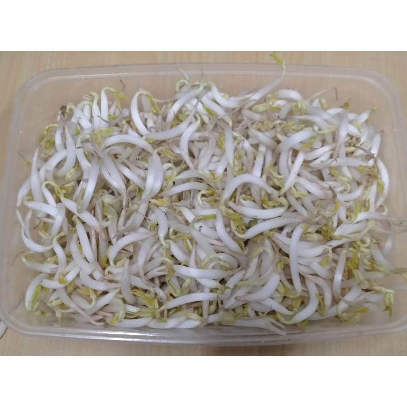 

toge 250 gr