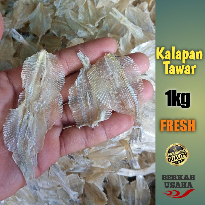 

IKAN KERUPUK TIPIS KALAPAN TAWAR 1kg Ikan asin Murah grosir ikan kering