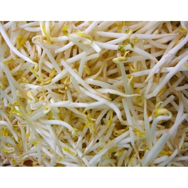 

Sayur toge isi 250gram