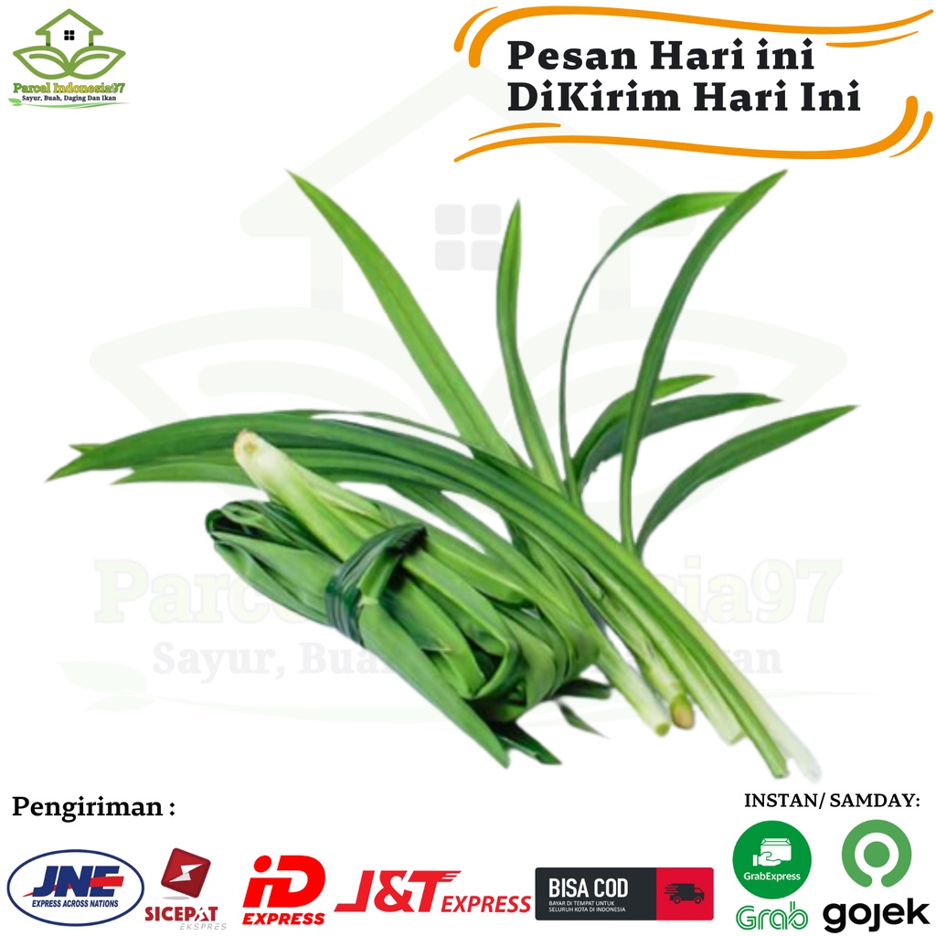 

Daun pandan per ikat segar