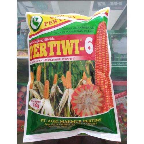 Benih Jagung Pertiwi 6 1Kg