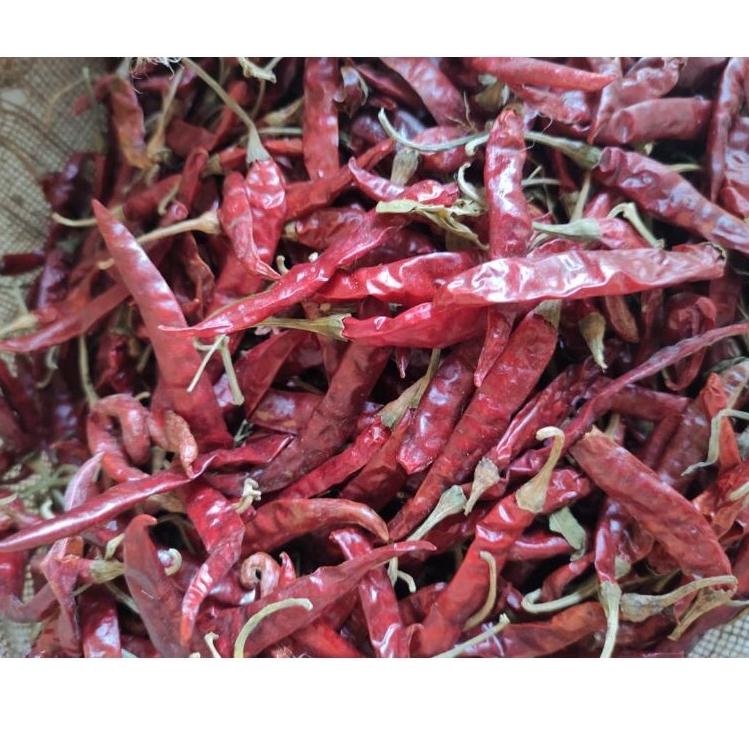 

[PRODUK WMTNO] Cabe Rawit Teja Merah Kering 1 kg kilo IMPORT Dijamin Pedas Dan Fresh RMN