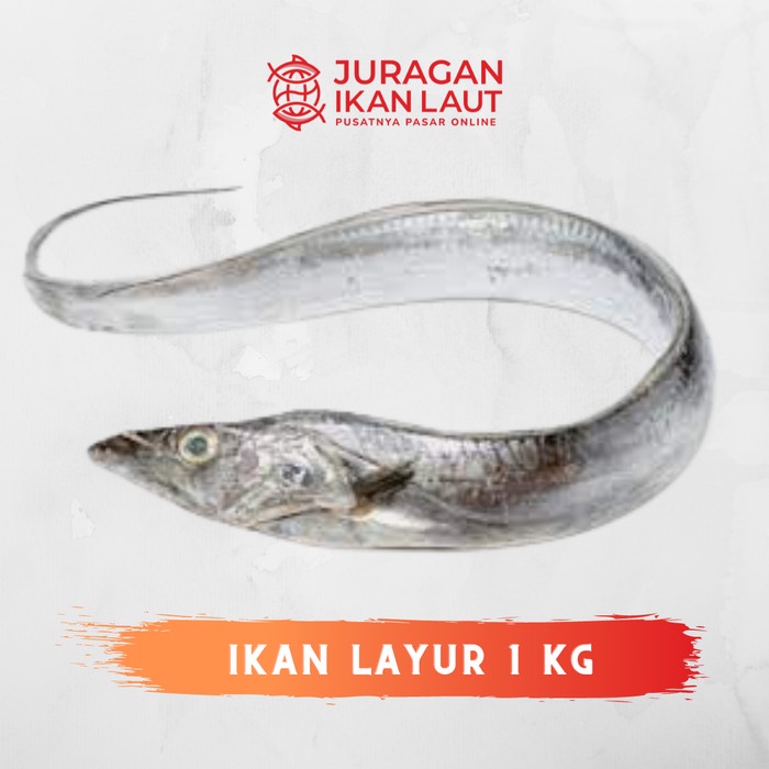 

Ikan Layur Segar Berkualitas - 1 Kilogram