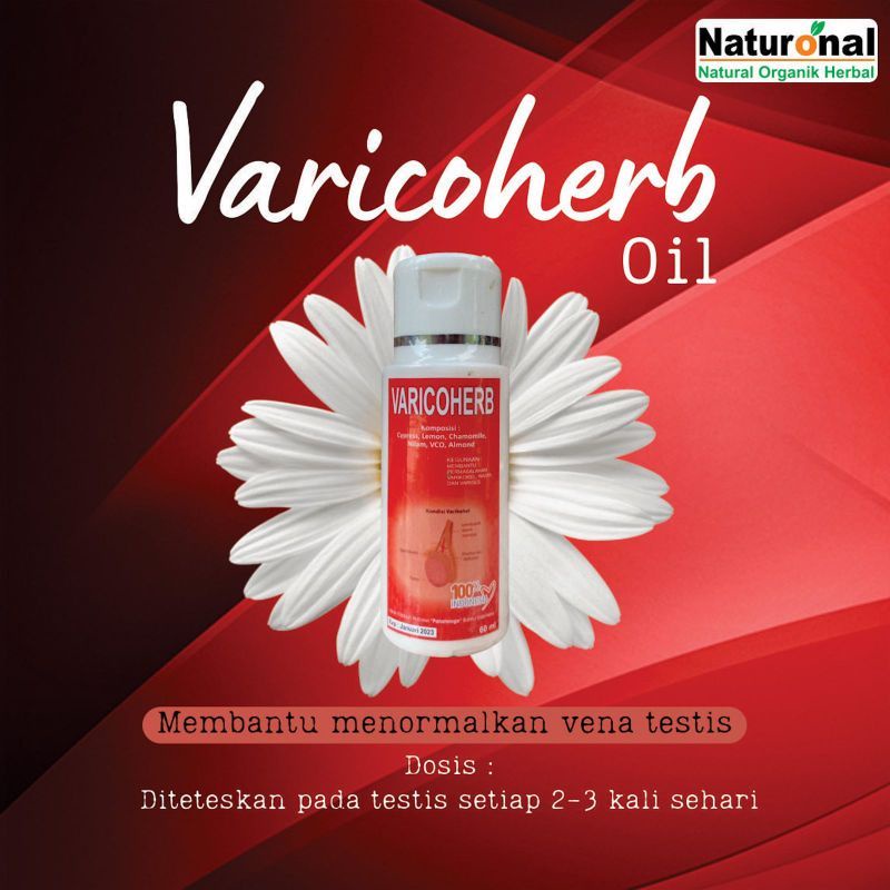 Varicoherb Oil/Obat varikokel