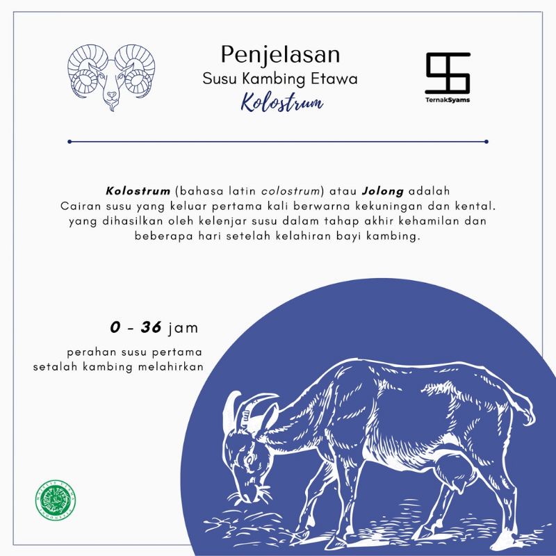 premium susu kolustrum colustrum etawa bubuk syams 1000 gram/1 kgterlaris terbaru