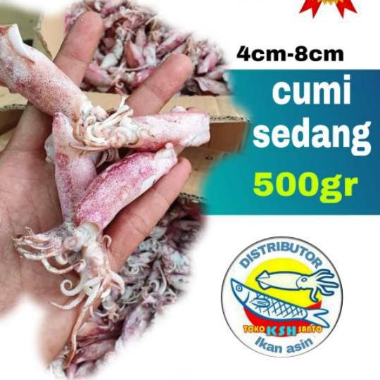 

GRATIS ONGKIR✅Ikan asin cumi-500gram|SQ7