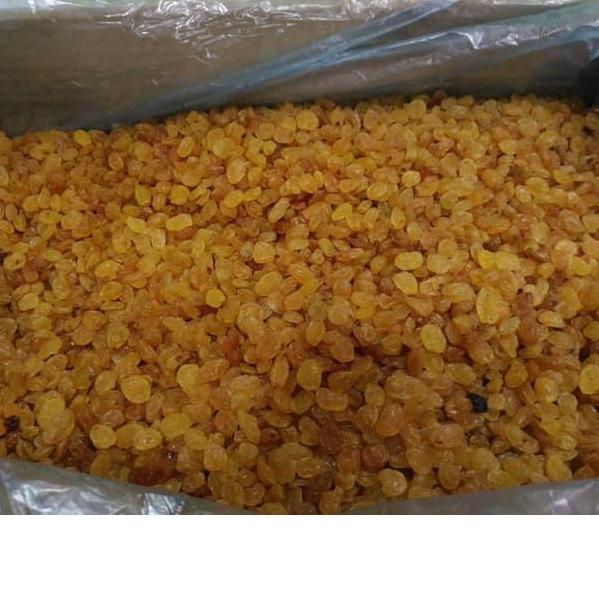 

DAPATKAN SEGERA Kismis Simin Raisin murah berkualitas - 1kg++