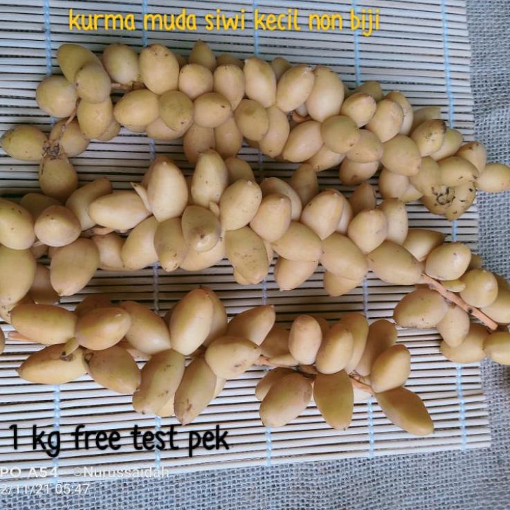 

[KODE PRODUK 8D9LN6196] kurma muda promil kuning 1 kg fresh