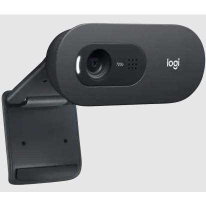 LOGITECH C505e Webcam HD 720p