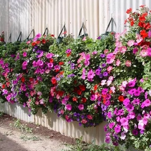 Pot Tanaman Planter Bag Vertikal - Plant Pouch Vertical Garden 10 Slits