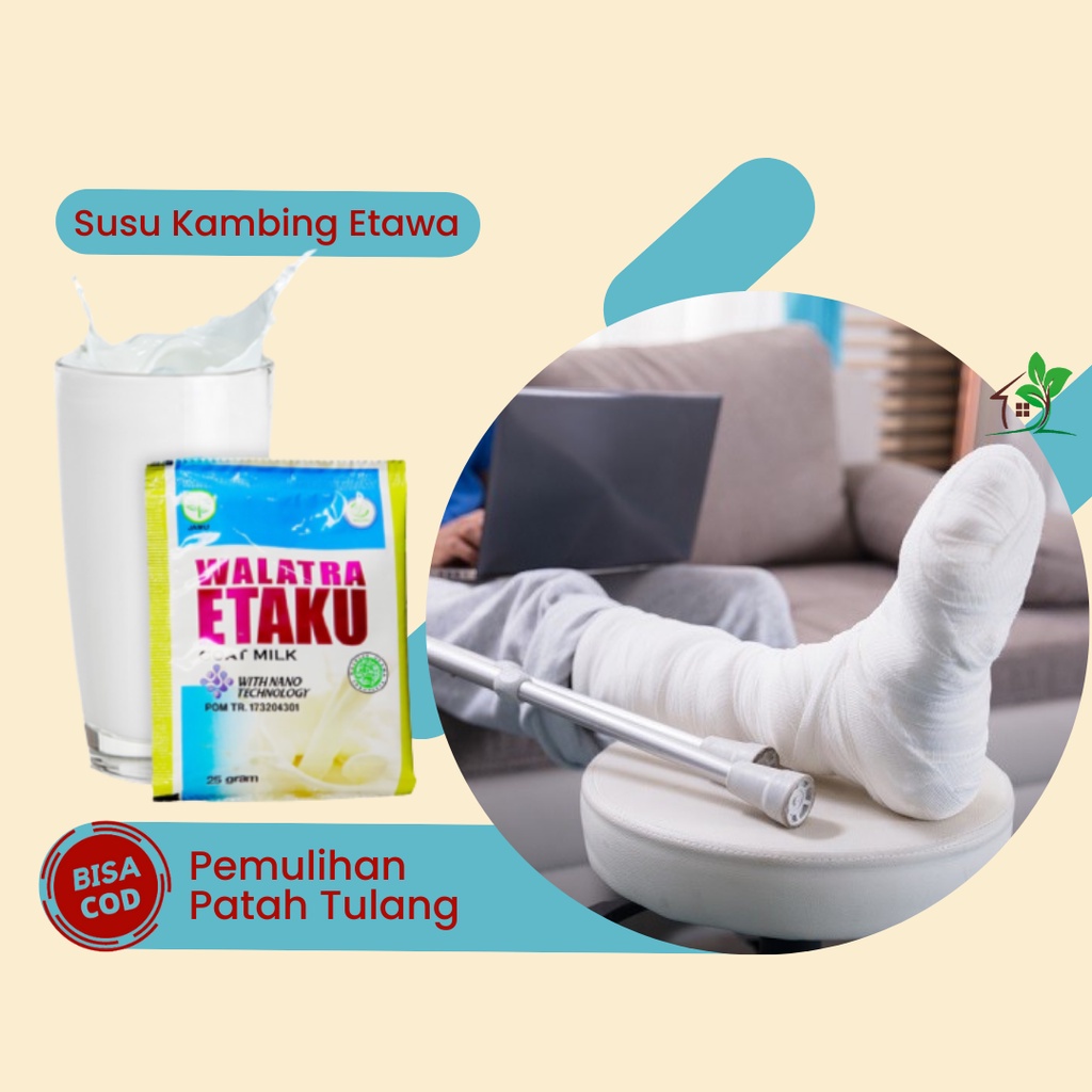 Walatra Etaku, Susu Atasi Patah Tulang, Susu Mempercepat Penyembuhan Patah Tulang, Susu Mempercepat 