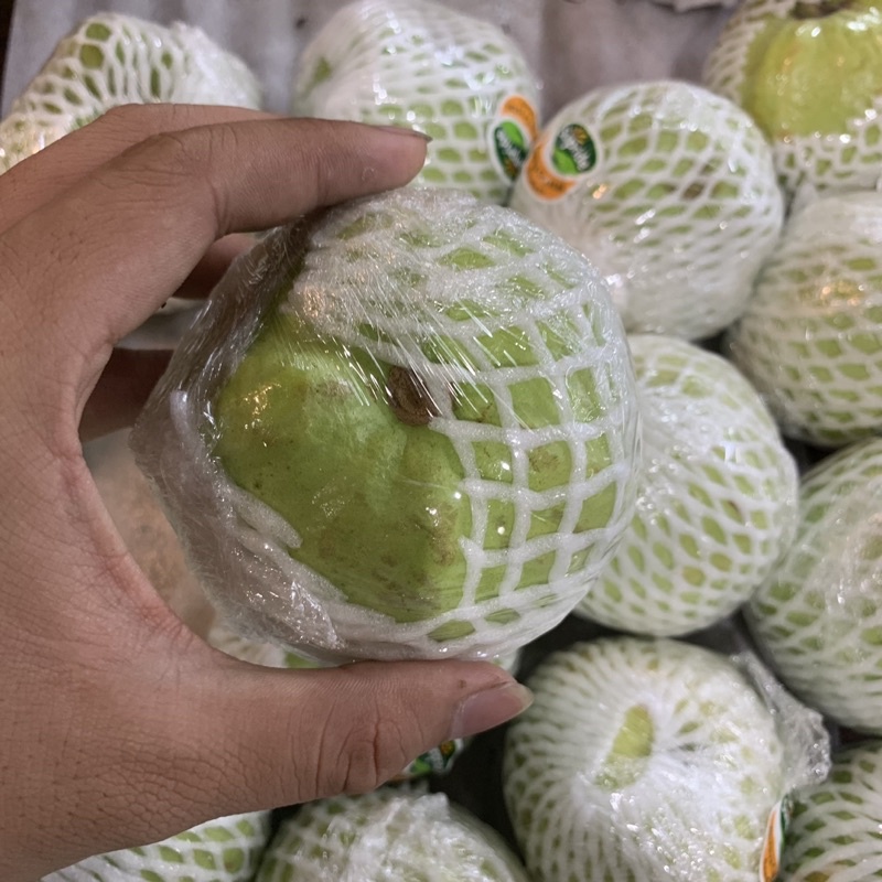 JAMBU | BUAH JAMBU | (KHUSUS SAMEDAY DAN INSTAN)