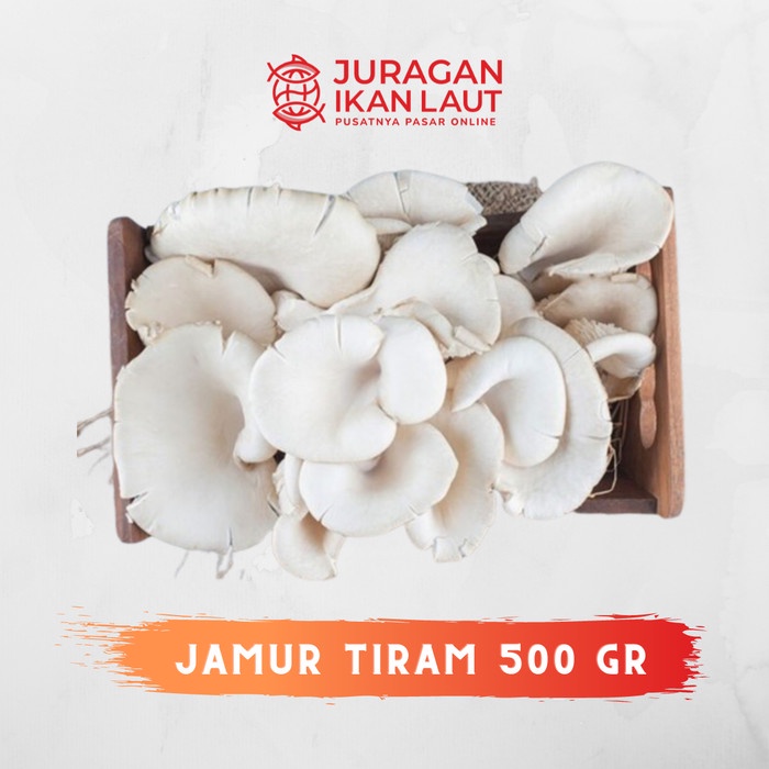 

Jamur Tiram Segar Fresh Berkualitas - 500 Gram