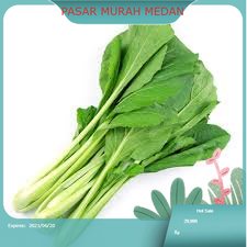 

Sawi Manis Hijau Segar 250gr Medan | PASAR MURAH MEDAN