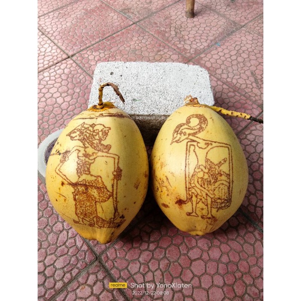 Jual Kelapa cengkir gading mitoni/tingkepan satu set isi 2 kelapa