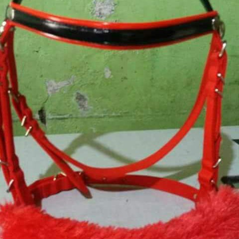 Bridle Nosban Kuda