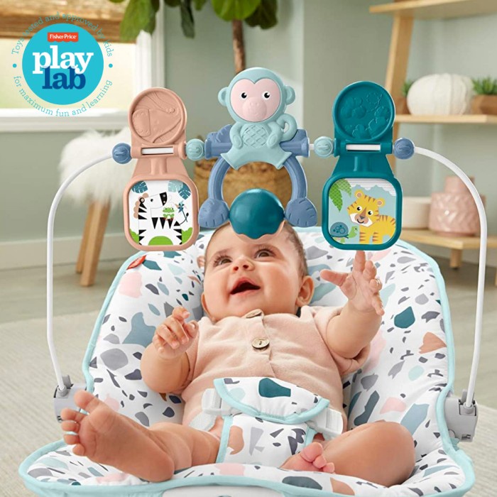 Fisher Price - Baby'S Bouncer - Kursi Goyang Anak Bayi