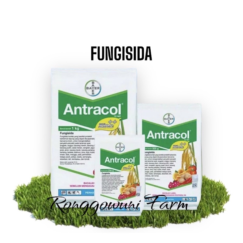 ANTRACOL FUNGISIDA